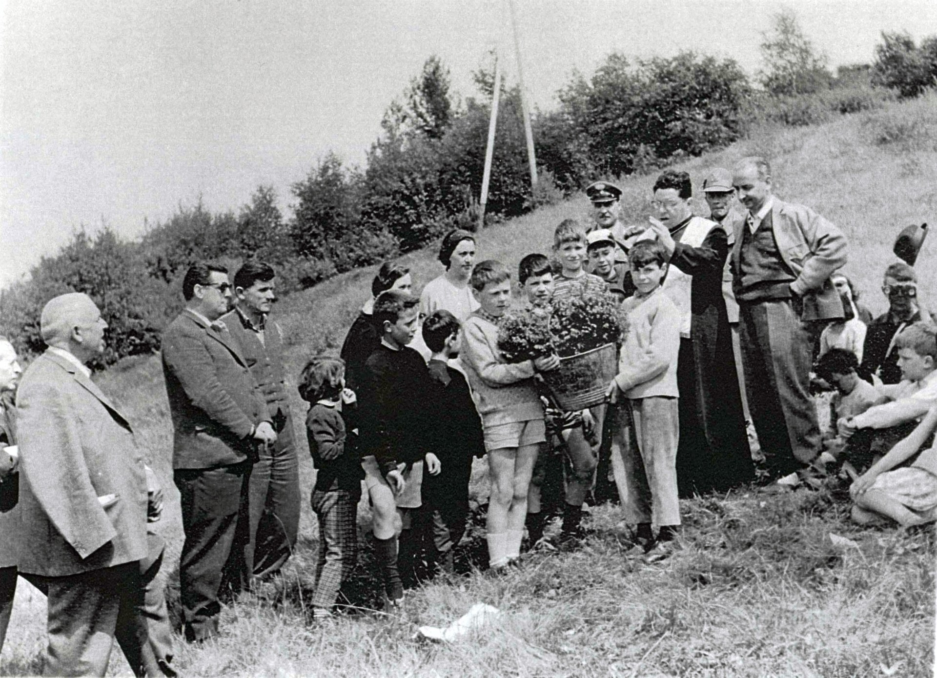 Festa degli alberi?