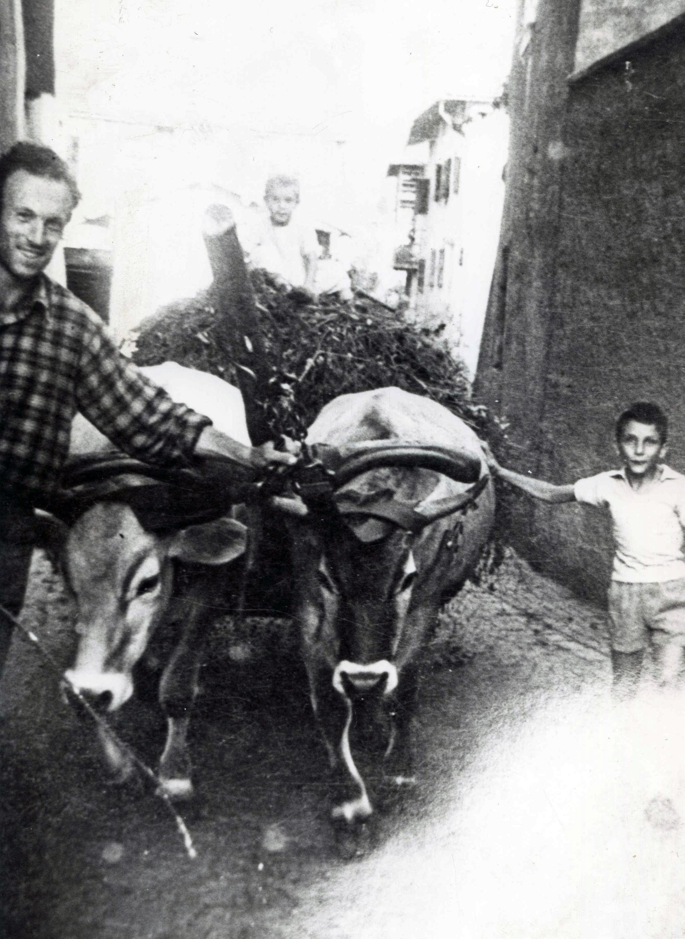 Agricoltura