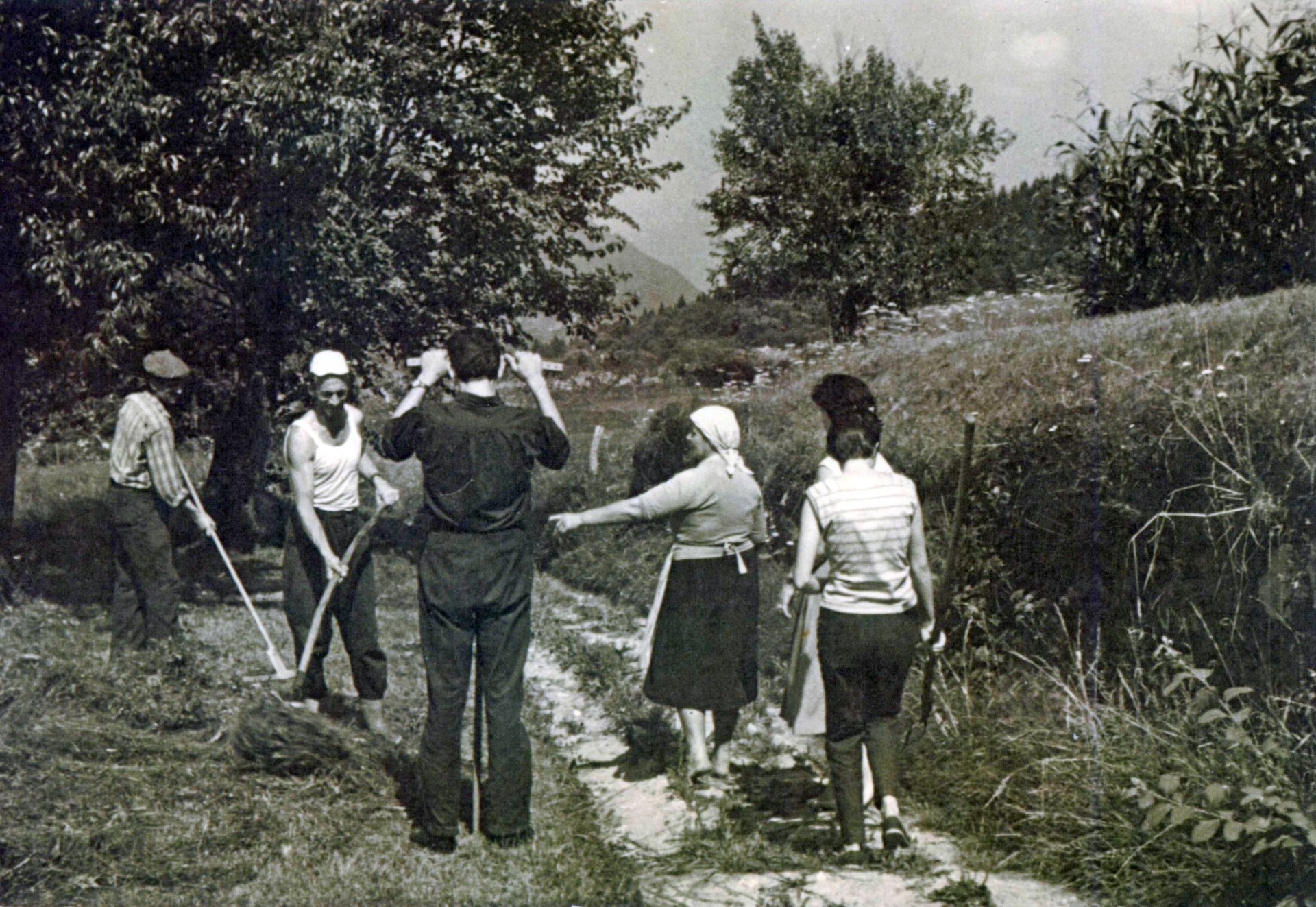 Lavori in campagna