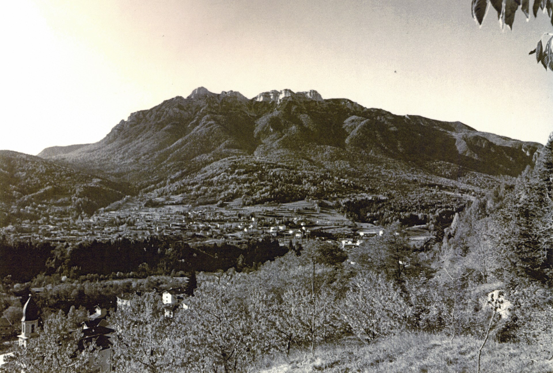 Cartolina Vattaro