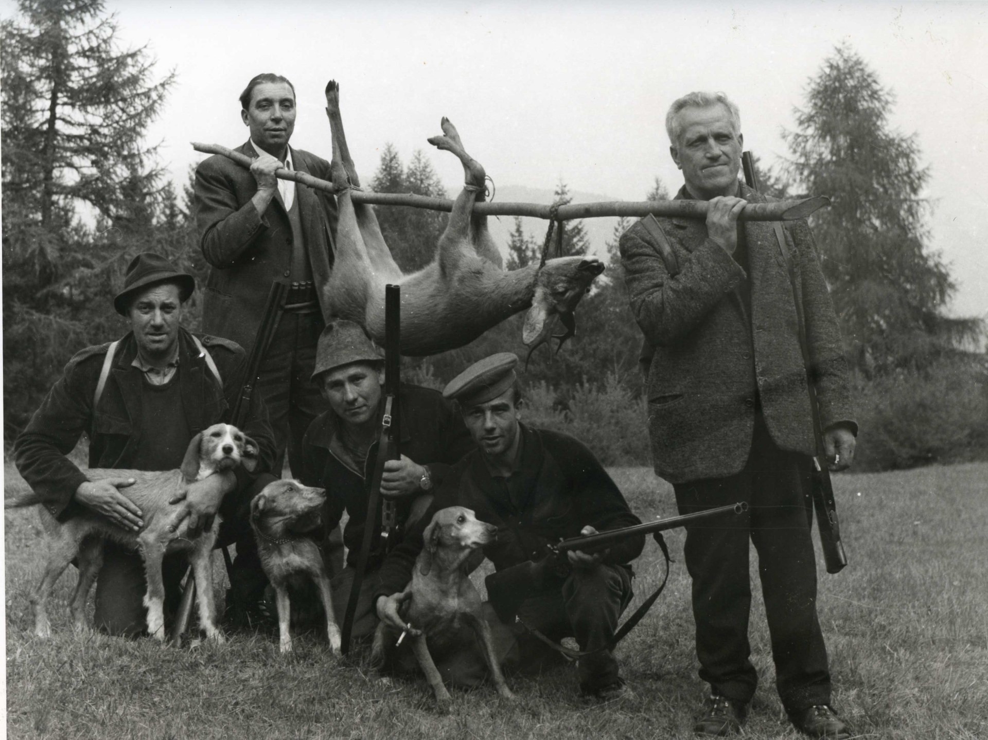 Foto di caccia