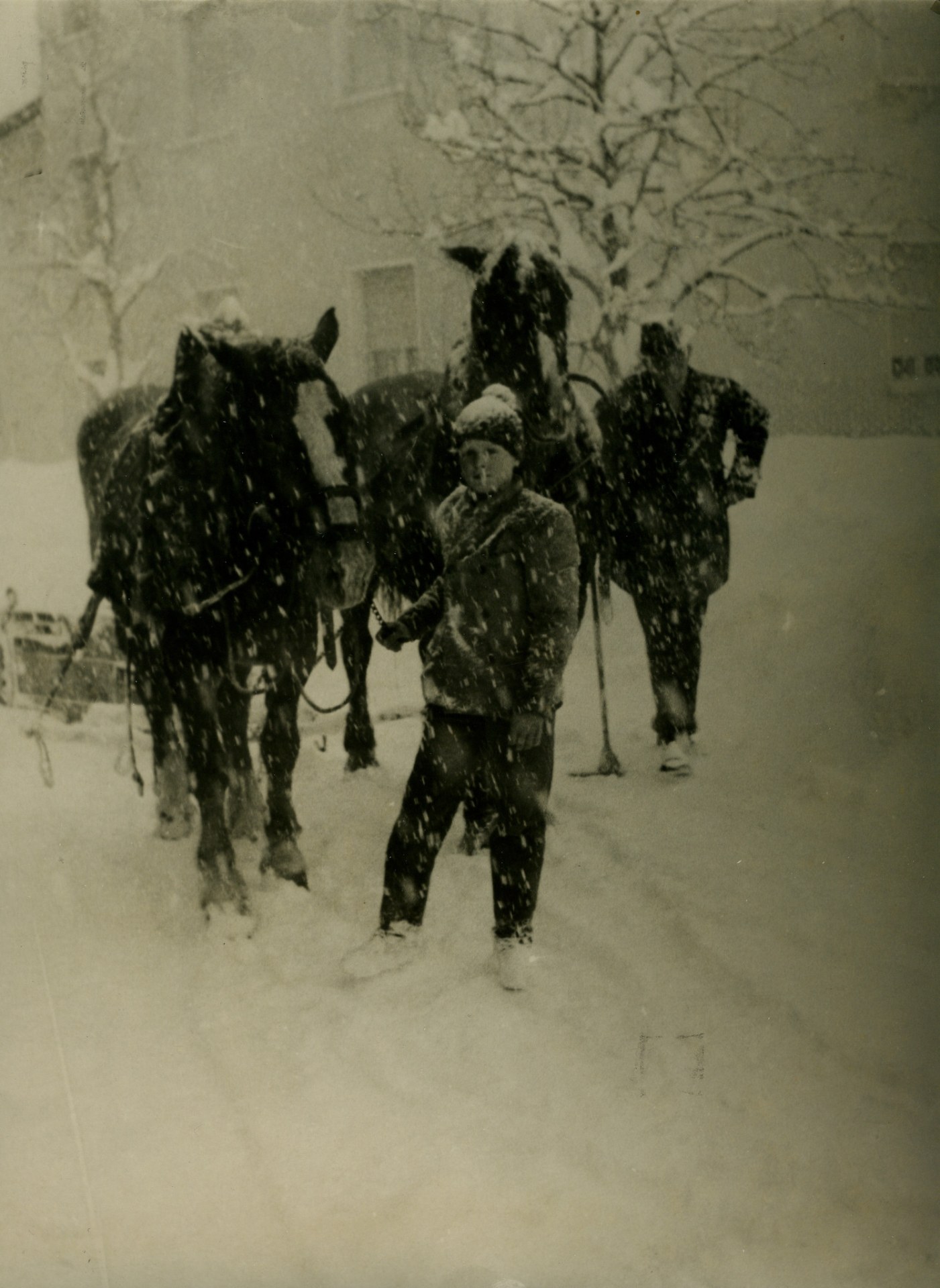 Sgombero neve