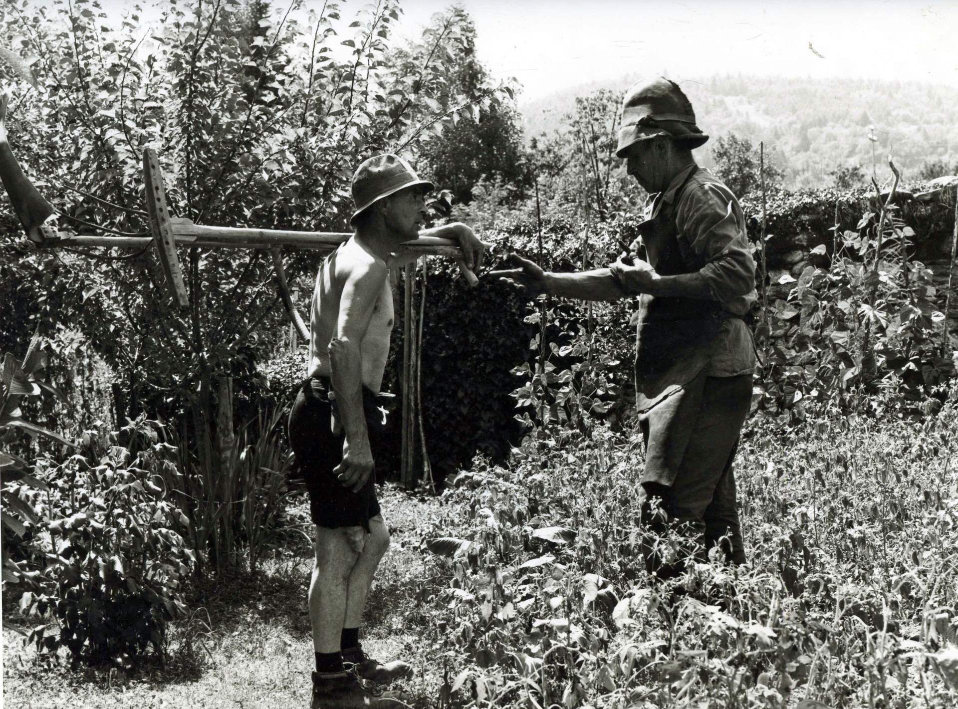 Agricoltura
