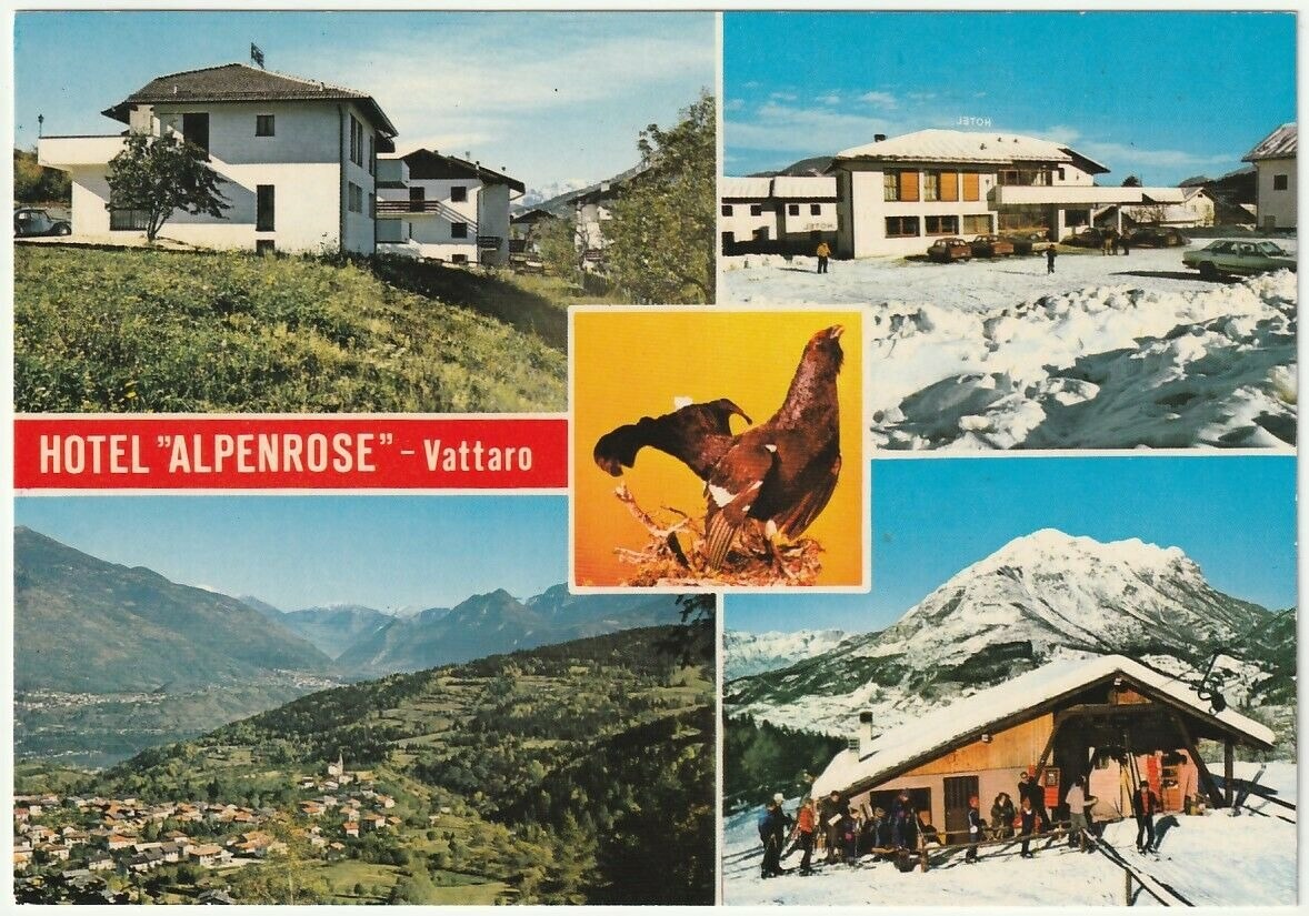 Cartolina Alpenrose