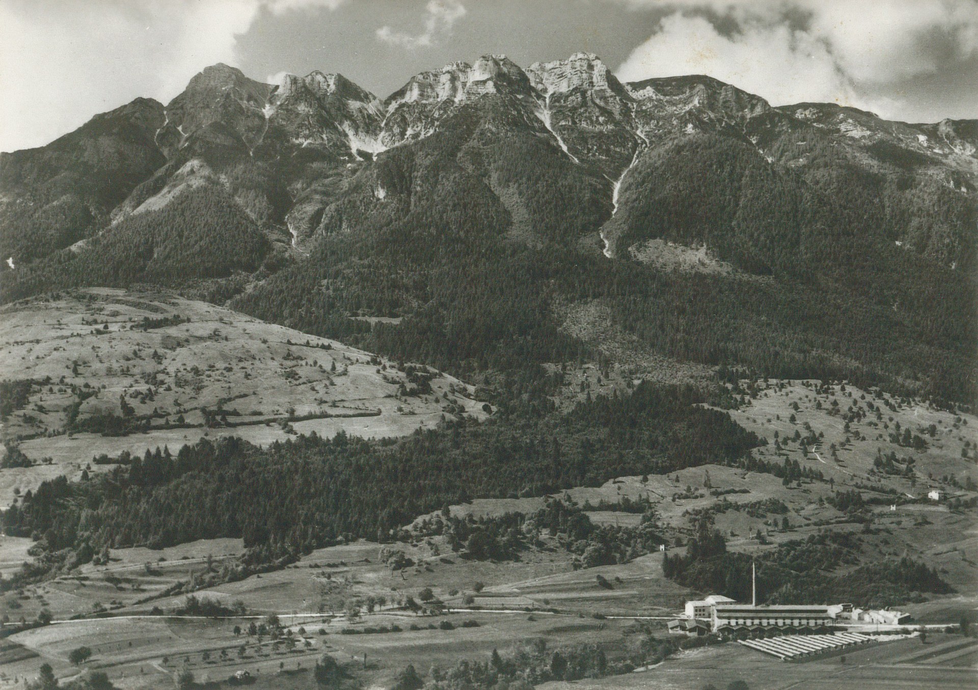Cartolina