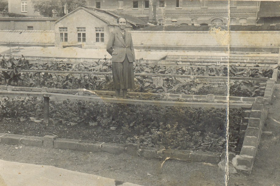 Lavoratrici agricole a Erfurt