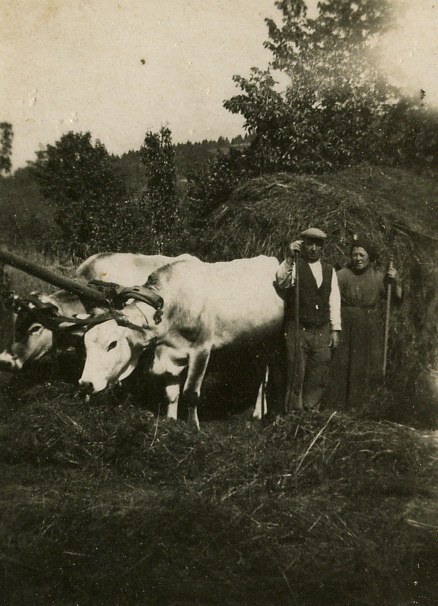 La fienagióne