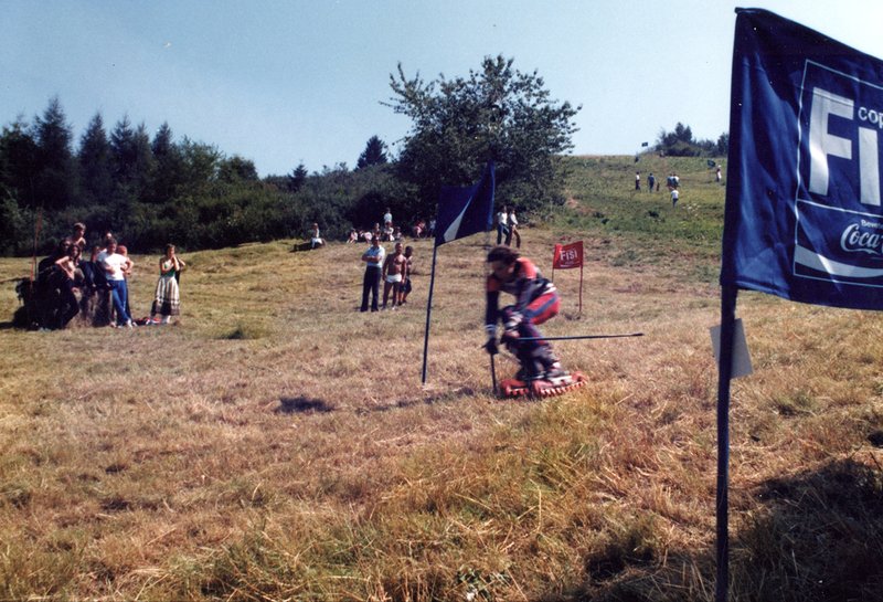 Sci d'erba