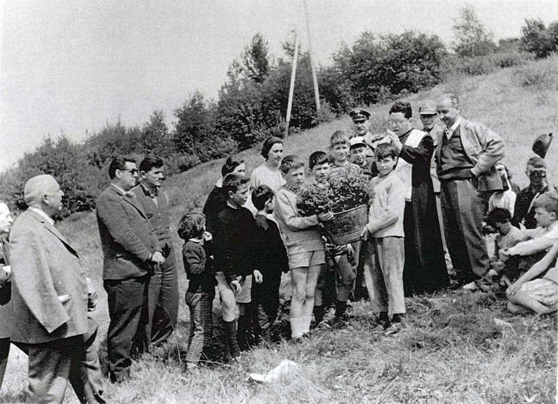 Festa degli alberi?