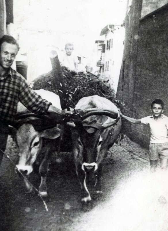 Agricoltura