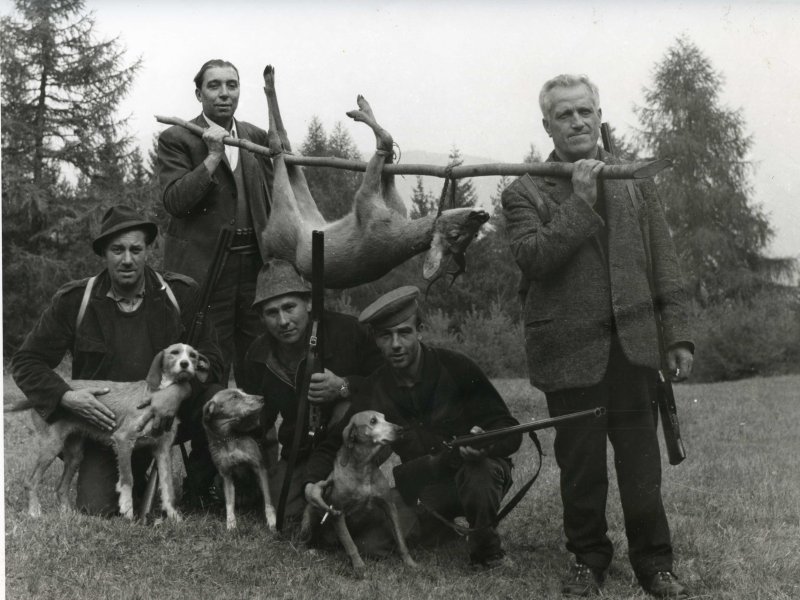 Foto di caccia