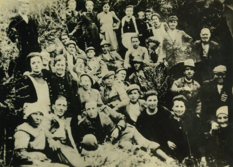 Festa degli alberi