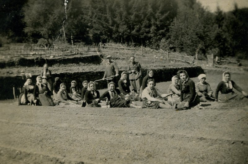 Vivaio forestale di Foscùr