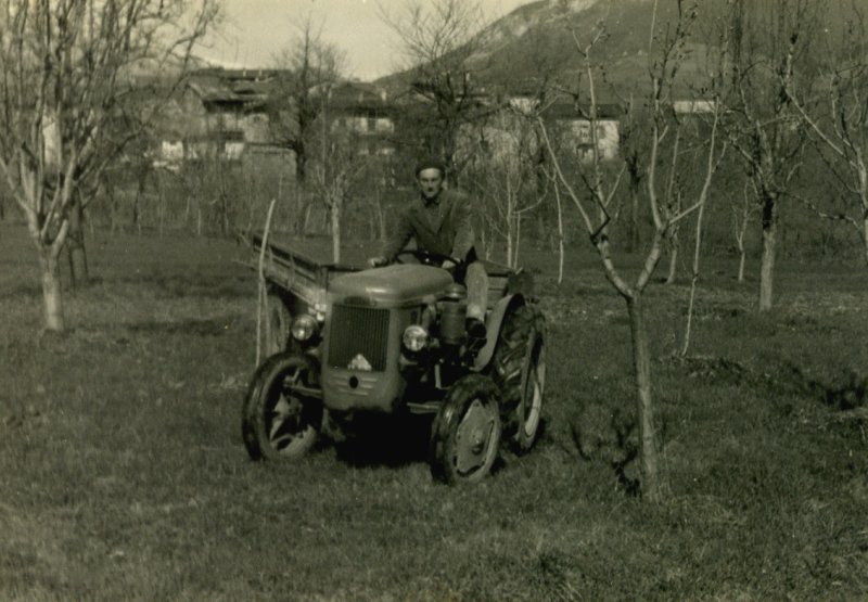 Lavori in campagna 