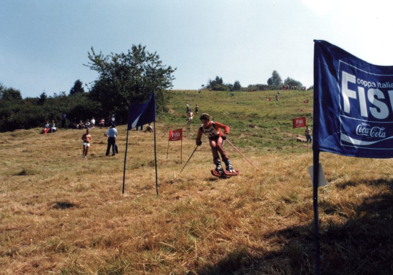 Sci d'erba