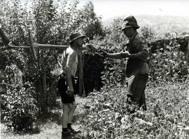 Agricoltura