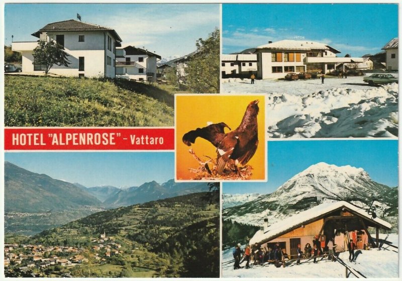 Cartolina Alpenrose