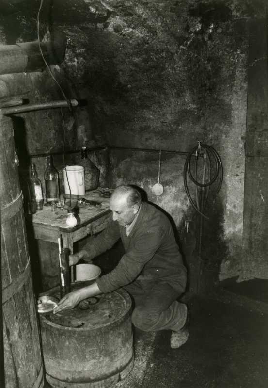 La distilleria del Coléto 
