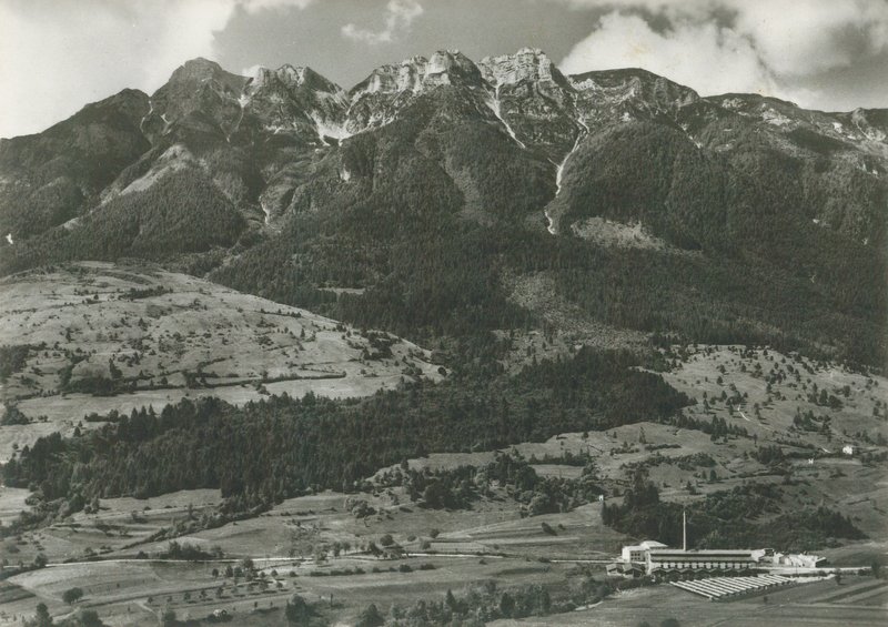 Cartolina