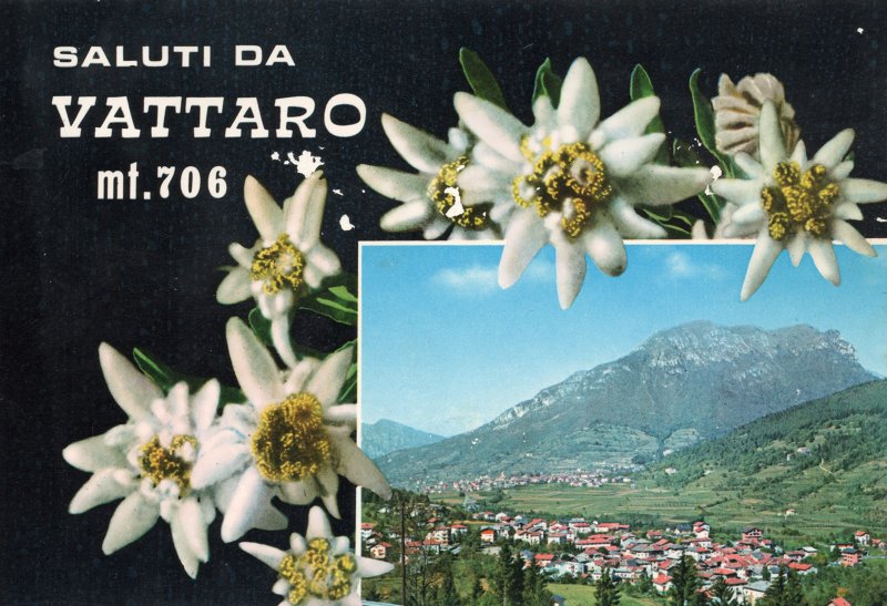 Cartolina di Vattaro